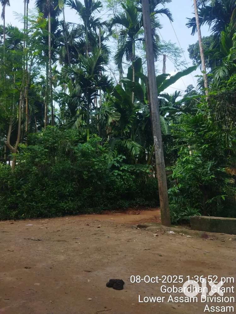 2 katha land for sale