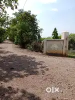Guava Farm House Plot