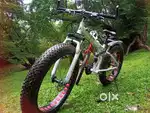 BMW FAT BICYCLE