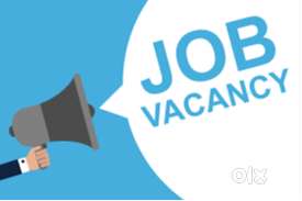 Wanted Accounts Assistant and Driver