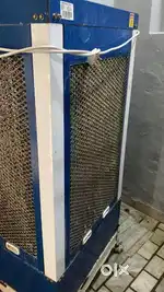 honey senghera
