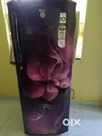 LG refrigerator