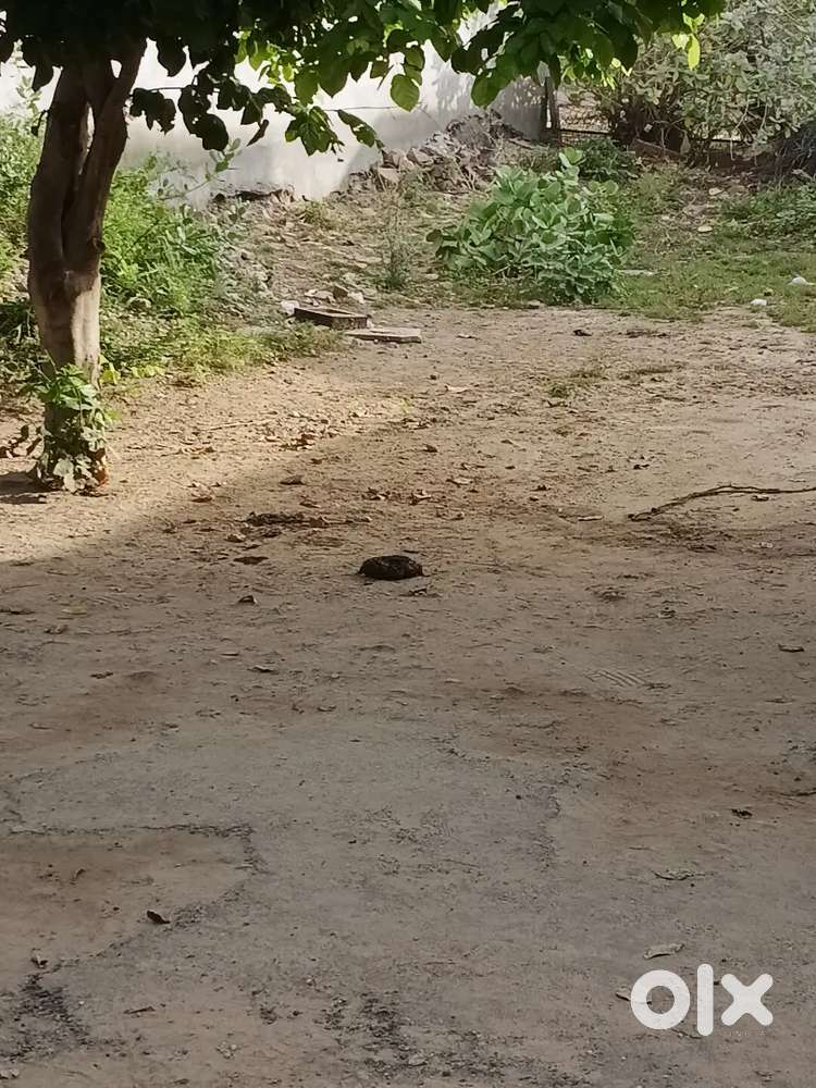 Near indana hotel , shikargarh
