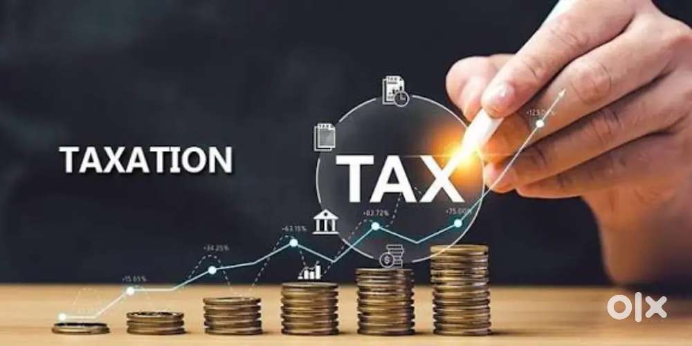 Need a female employee for Taxation Firm.