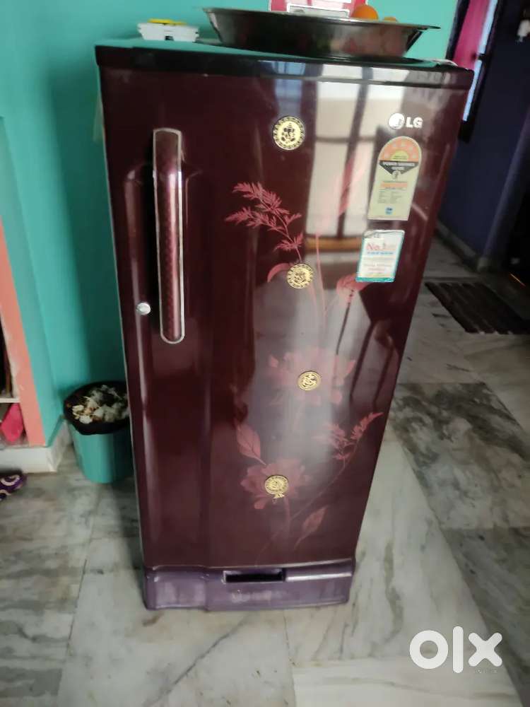 LG 245 watts 5 star refrigerator