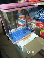 Imported fish tank for sales pink colour