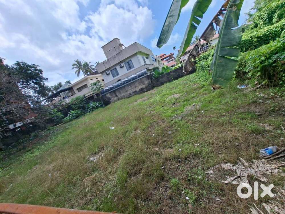 10CENTS ORGINAL LAND FOR SALE NEAR KADAVANTHRA PANCHAVADI