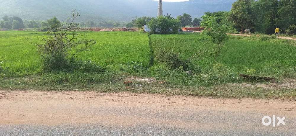 प्लॉट बिक्री जल्दी करना  है  पैसे की सख्त जरूरत है