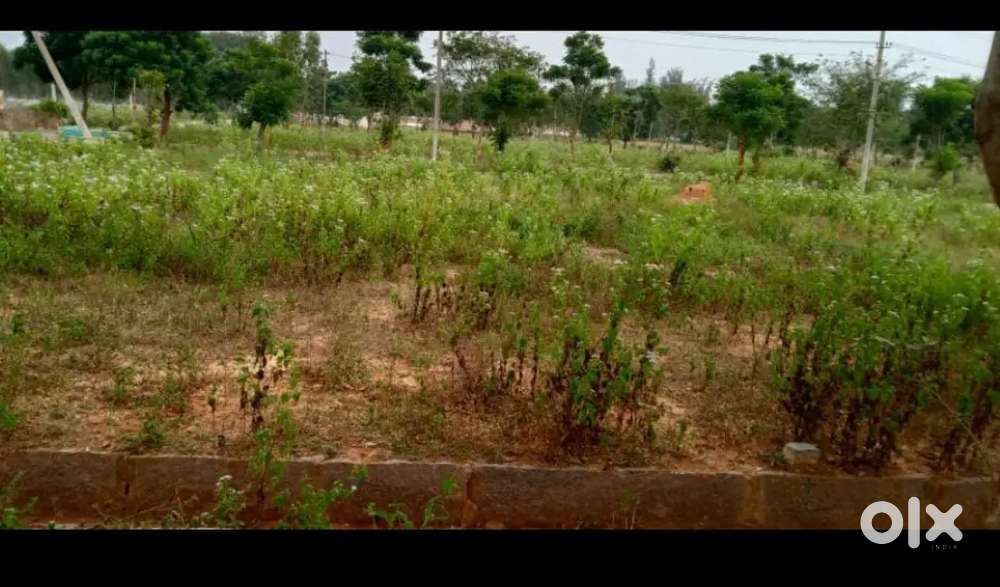 For sale we want money