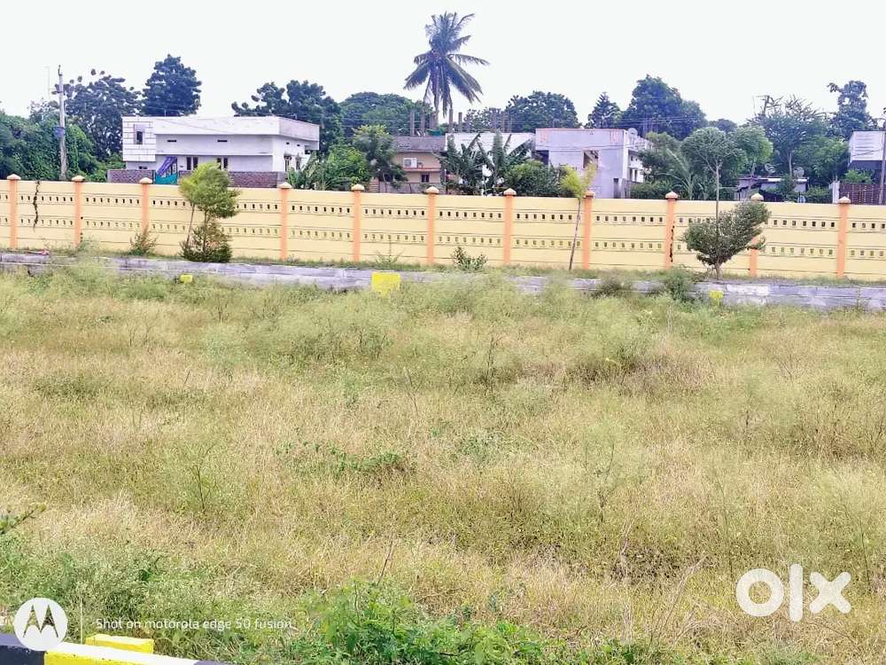 Kankipadu, Bundar road దగ్గర, low cost plots,