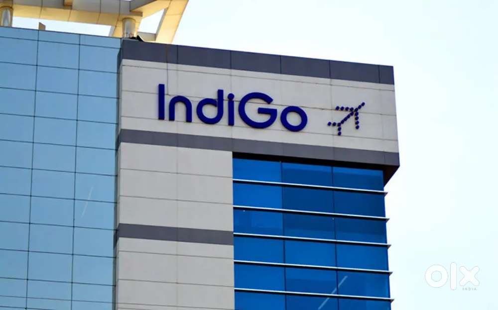 Cabin Crew/Airport Ground Staff Jobs in Indigo airlines apply fast.