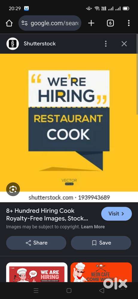 Restaurant cook/chef