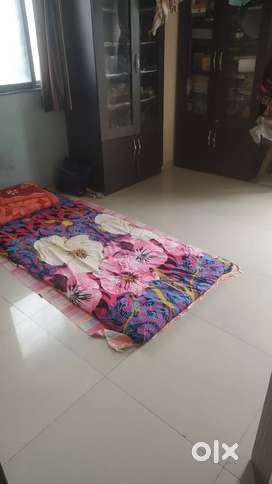 Need roomate for( boys) job person (2BHK flat)