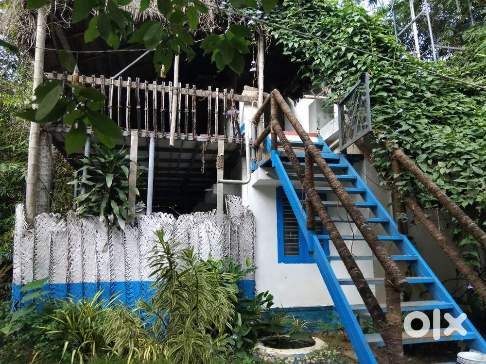 caretaker in a premium resort