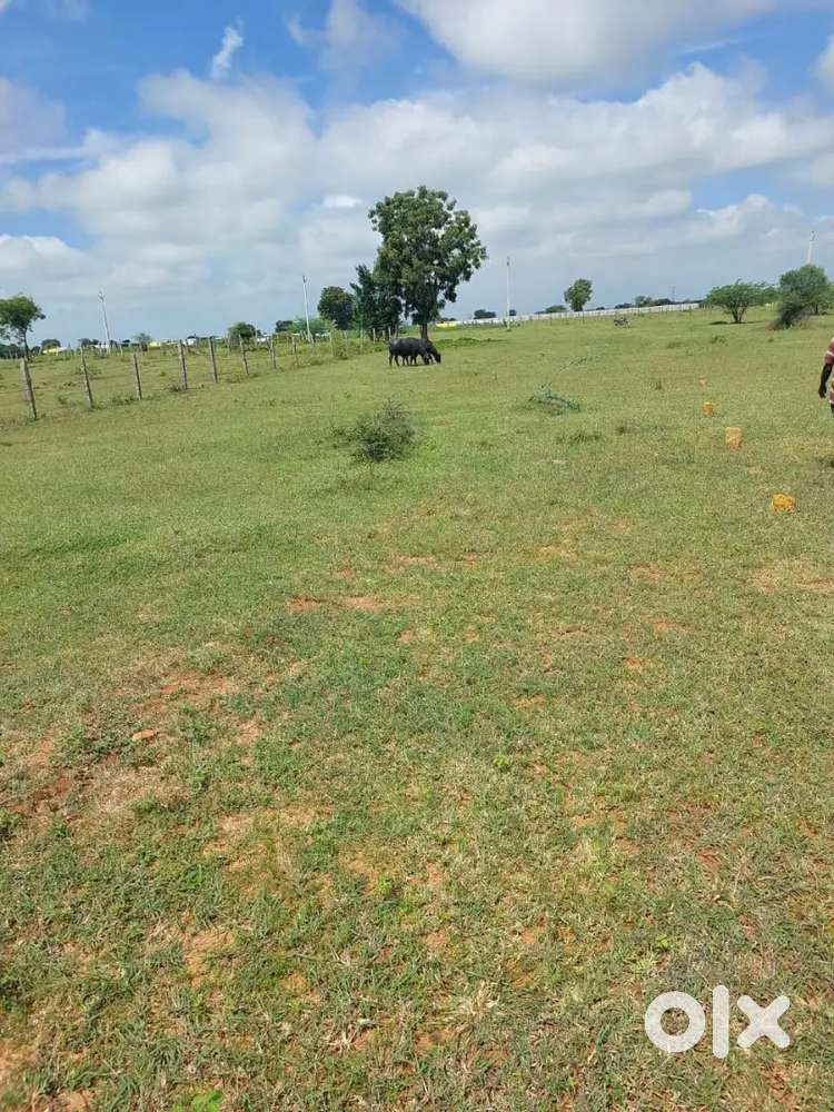 Malkaram farmland available for sale Fixed Price