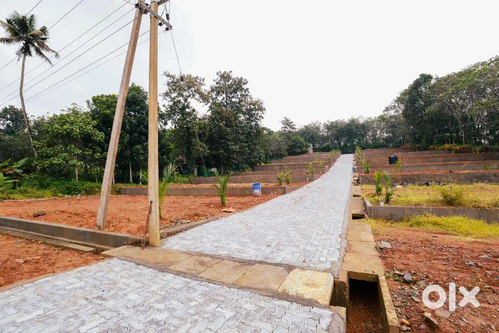 4,5,6,7, 10cent house plot for sale near kizhakkabalam vengola busroot