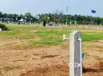 Low budget Dtcp Plot Sale in Pollachi