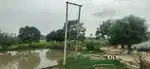 agriculture farm