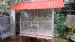 Birds cage for sale in tvm