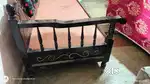 3 month old divani