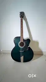 Hovner Guitar