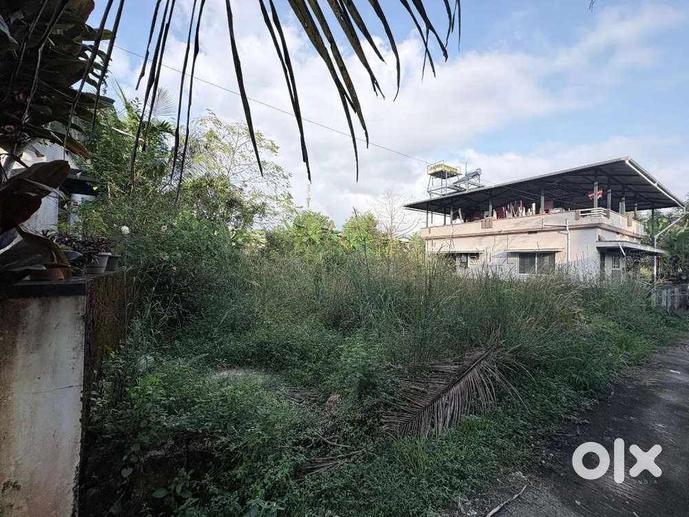 Land for Sale – Prime Location Near Talapady!