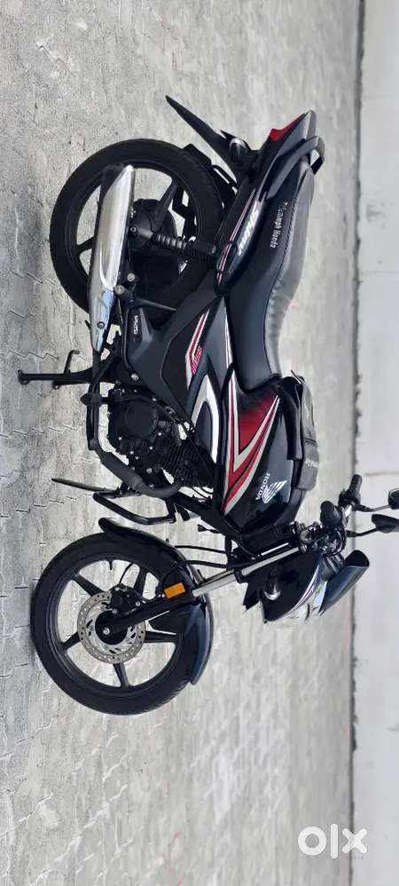 Shine for sale