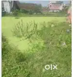 Arjant sale plot heera nagar ambala sahar