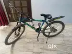 21 Gear Gang Cycle