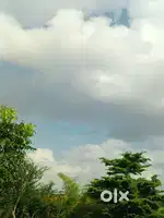 Insurance agent