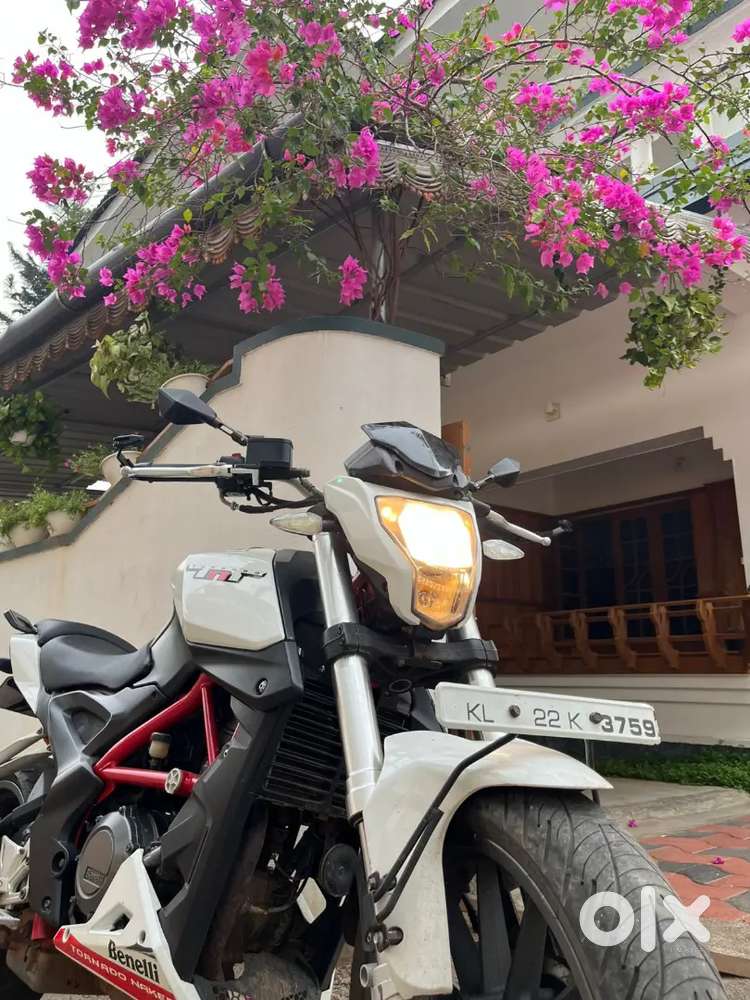 Benelli TNT 25 for Sale