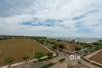 100 Gaj plot