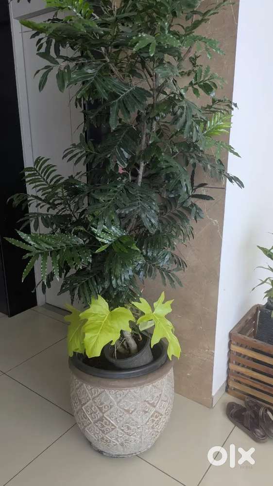 Billing staff required