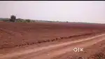 50 acres agriculture land for sale