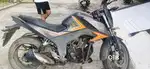 Honda hornet