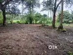 Karigachira town 500 mtr 9 cent land