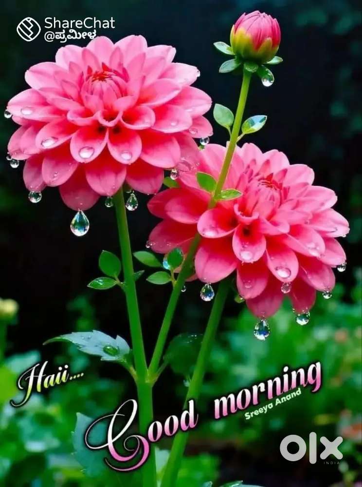 Tellcaller and HR executive