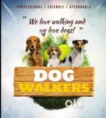 Mh11 Dog walking service