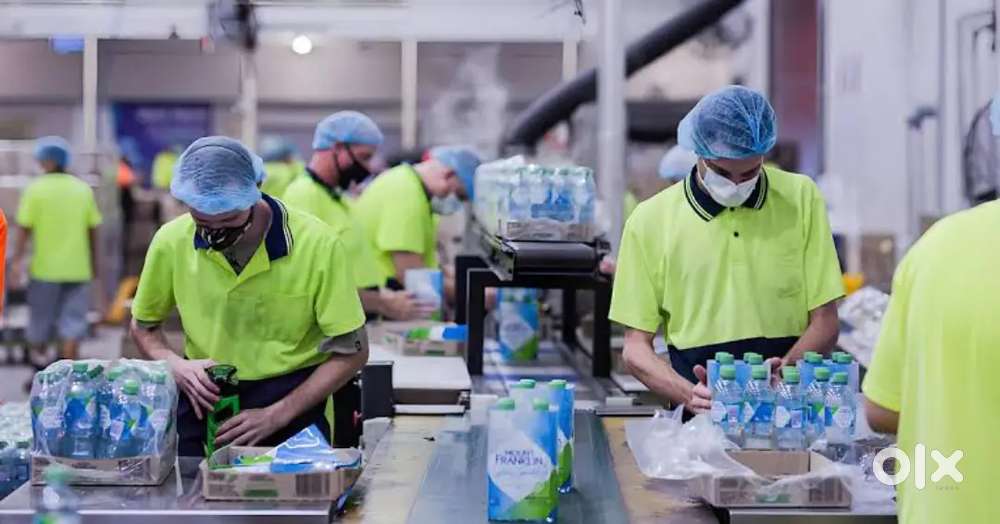 [ CALL TO RAVI SIR ] DAY SHIFT / NIGHT SHIFT BOTH AVAILABLE