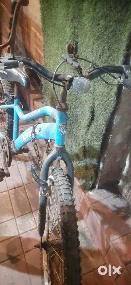 Spider cycle
