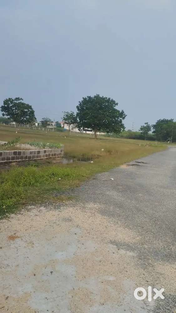 Opposite culinary university ,54 ankanams