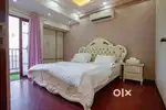Luxury 2BHK full furnished flat for rent