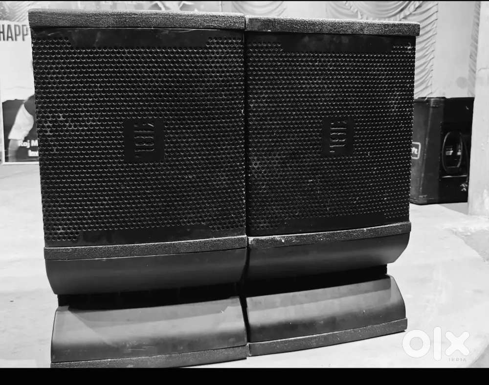 Line Array Speaker System