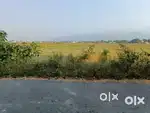 Plot for Sale in Gaulapar , Haldwani
