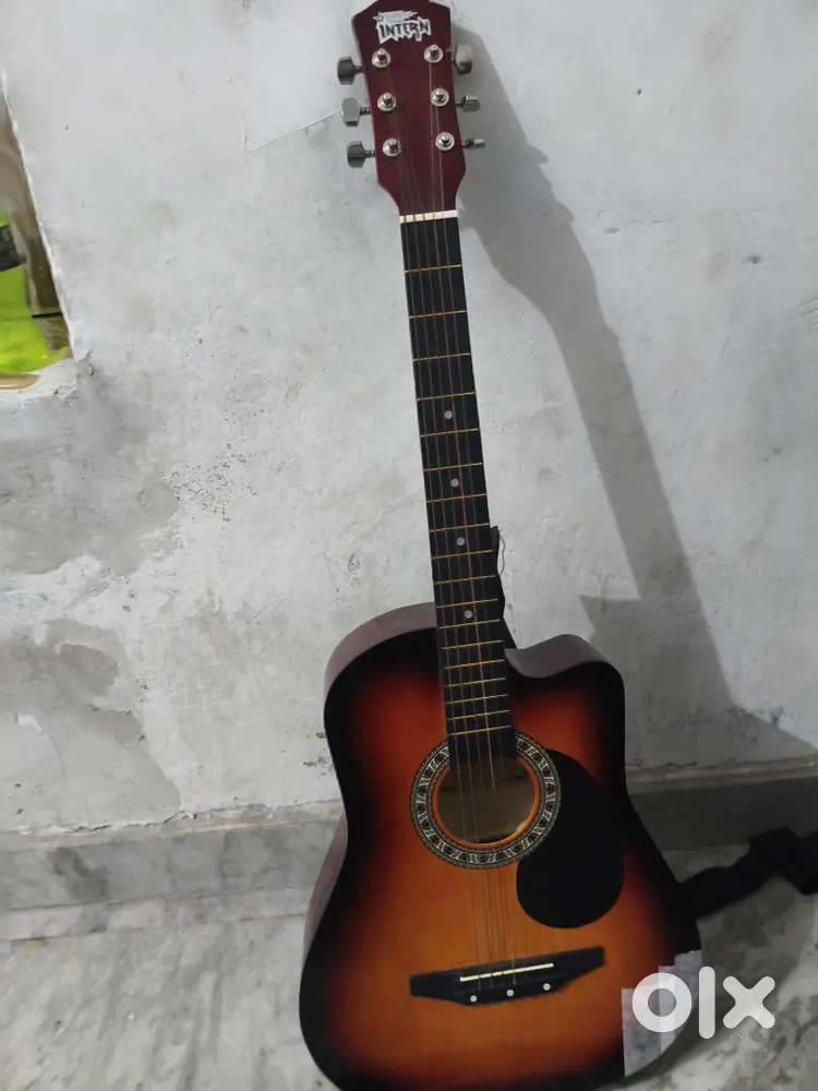 acoustic guitar