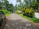 5.20 Cent Residential land Near Medical College  Calicut