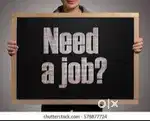 JOB VACANCY FOR ALL FRESHERS