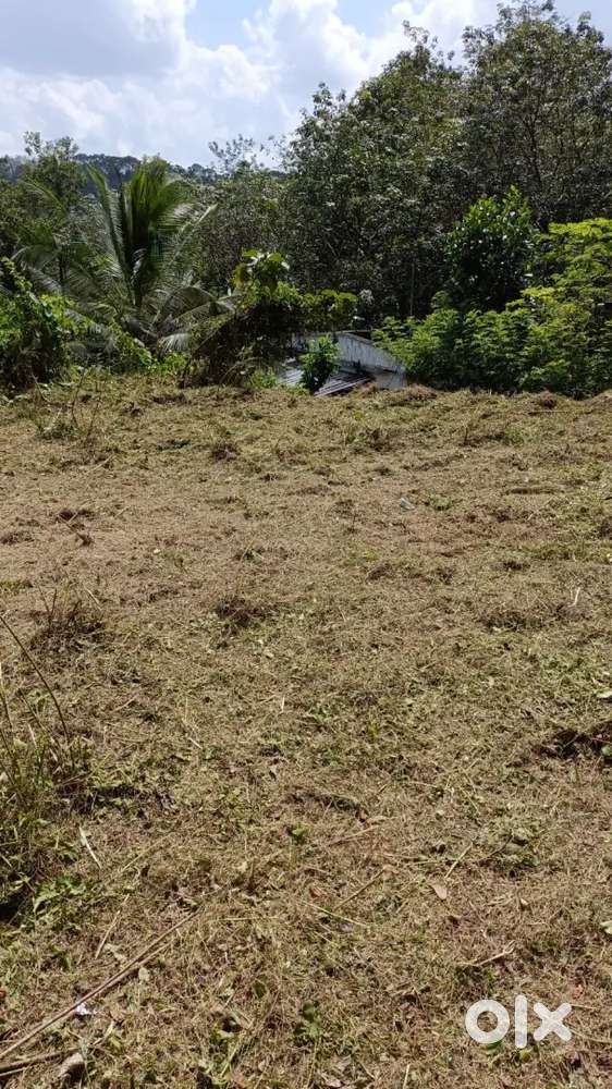 For Sale 12cent plot @Anakkal, Kanjirappally