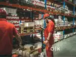 * Great chance available for logistic students in warehouse sector