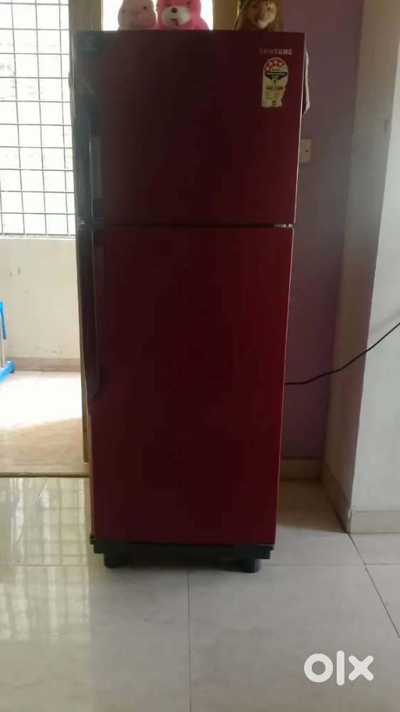 Fridge (Double Door)